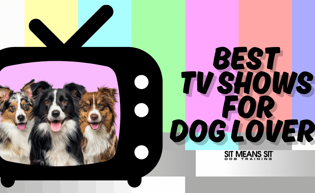 Best TV Shows for Dog Lovers