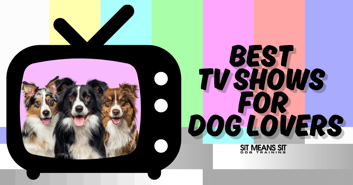 Best TV Shows for Dog Lovers