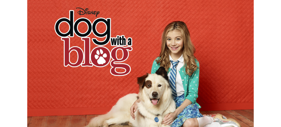 Best TV Shows for Dog Lovers