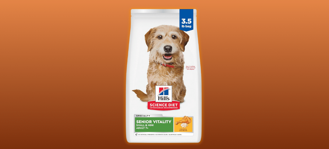 The Best Dog Foods for Your Senior Pup