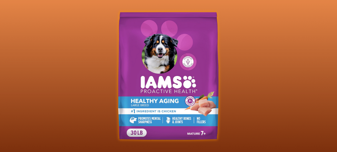 The Best Dog Foods for Your Senior Pup