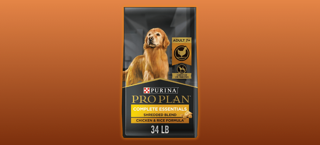 The Best Dog Foods for Your Senior Pup