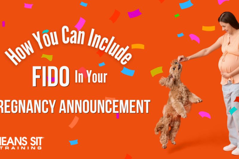 How You Can Include Fido In Your Pregnancy Announcement
