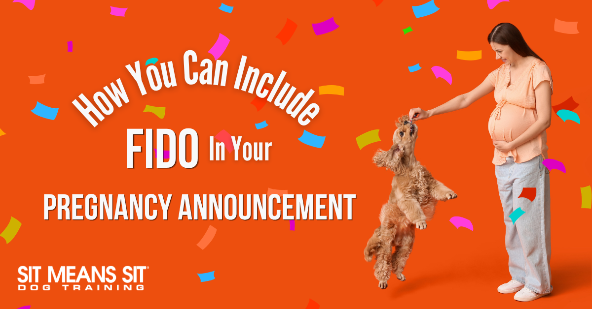 How You Can Include Fido In Your Pregnancy Announcement