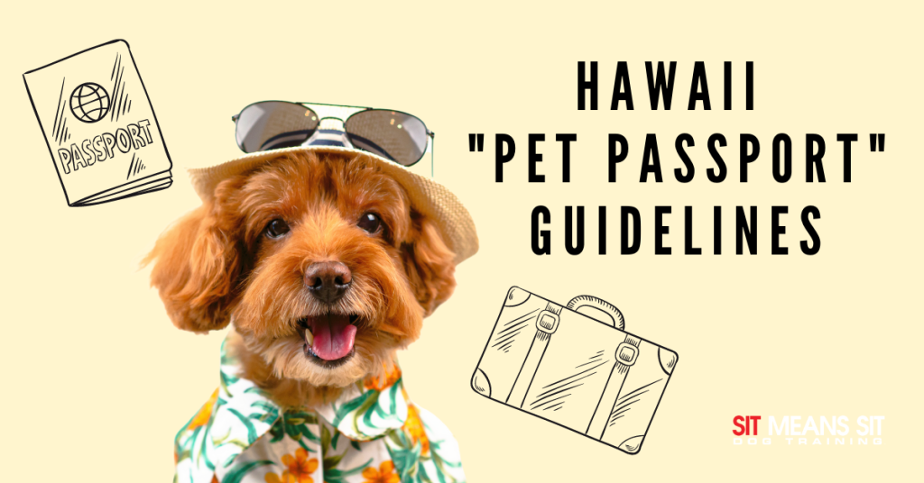 pet travel requirements hawaii