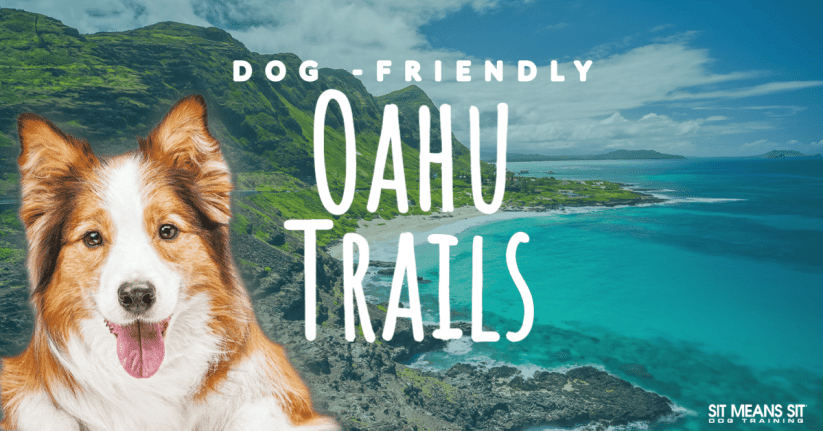 a smiling dog picture in front of huwaii landscape