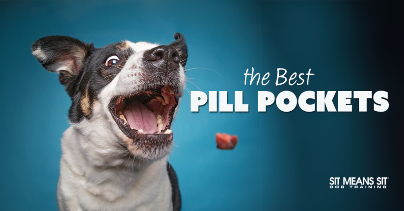 The Best Pill Pockets For Dogs