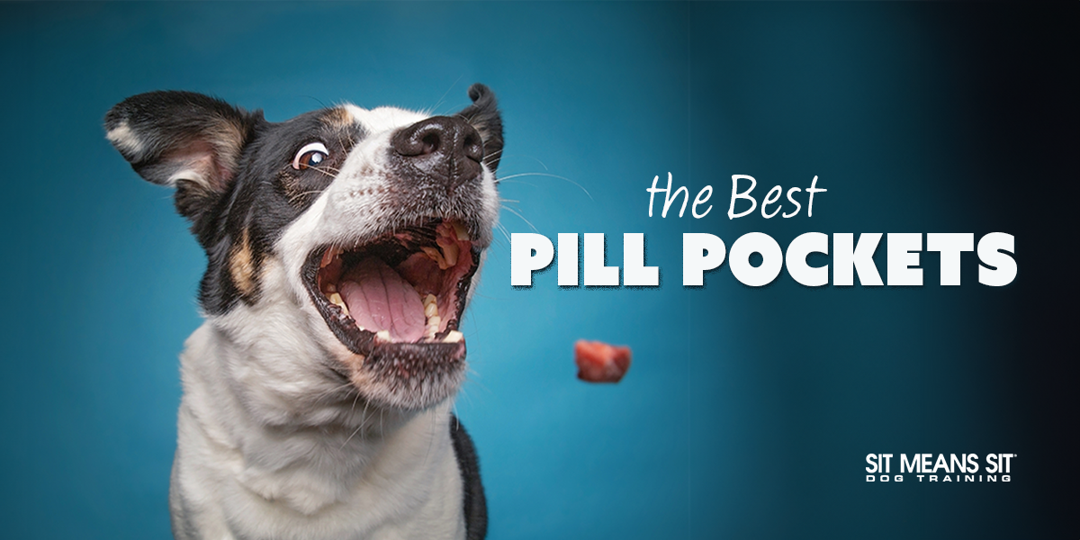 The Best Pill Pockets For Dogs