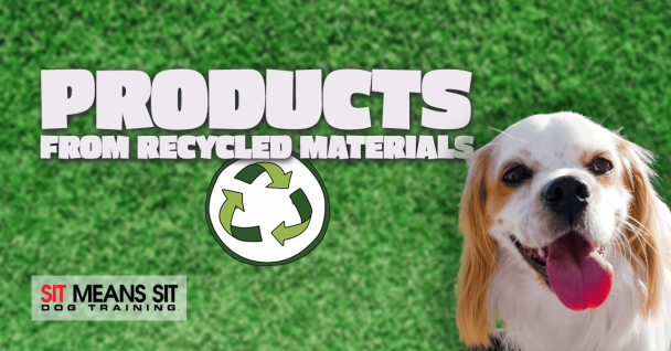 Check our these dog products made from recycled materials