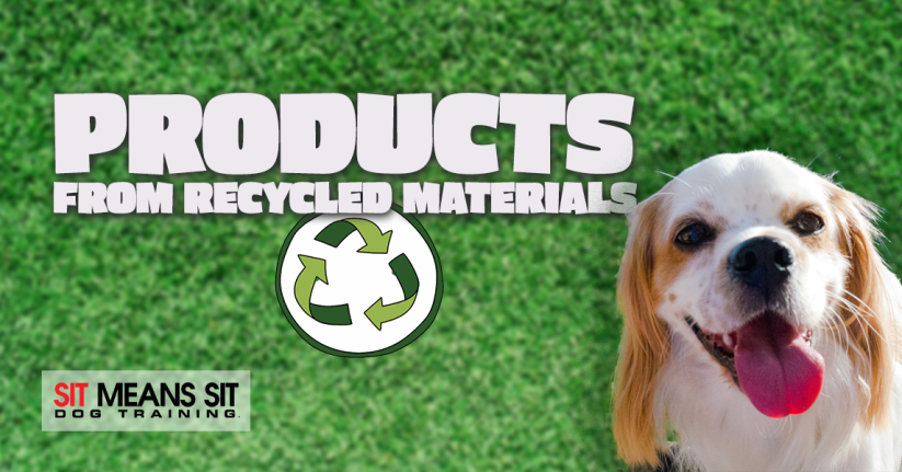 Check Out These Dog Products Made From Recycled Materials