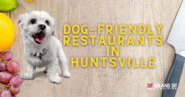 Dog-Friendly Restaurants in Huntsville