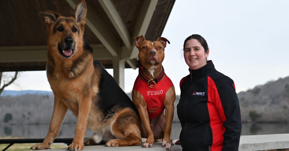 a woman posing with two dogs for a picture