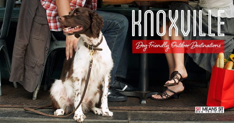Knoxville dog-friendly outdoor destinations.