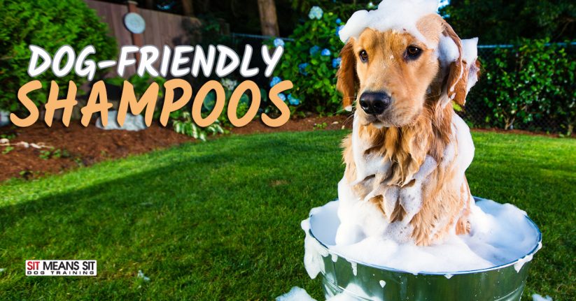 Try These Dog-Friendly Shampoos