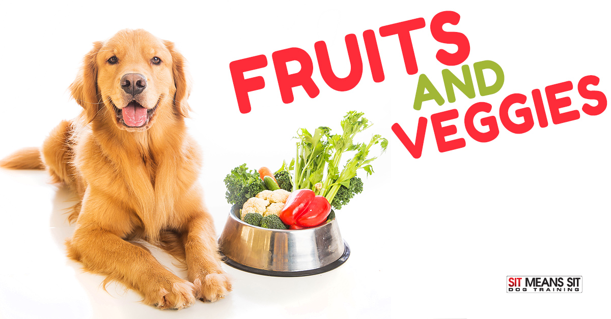 The Best Fruits & Vegetables for Dogs
