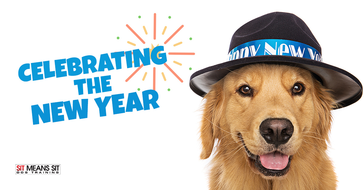 Celebrating New Year with Your Dog | Sit Means Sit Knoxville