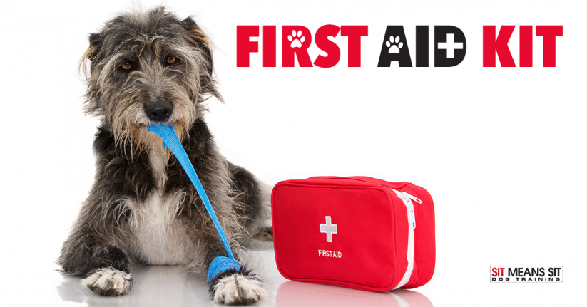 Dog First Aid Kit