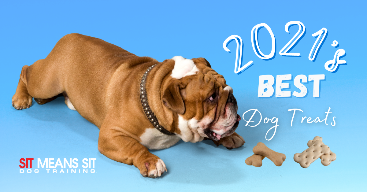 2021's Best Dog Treats