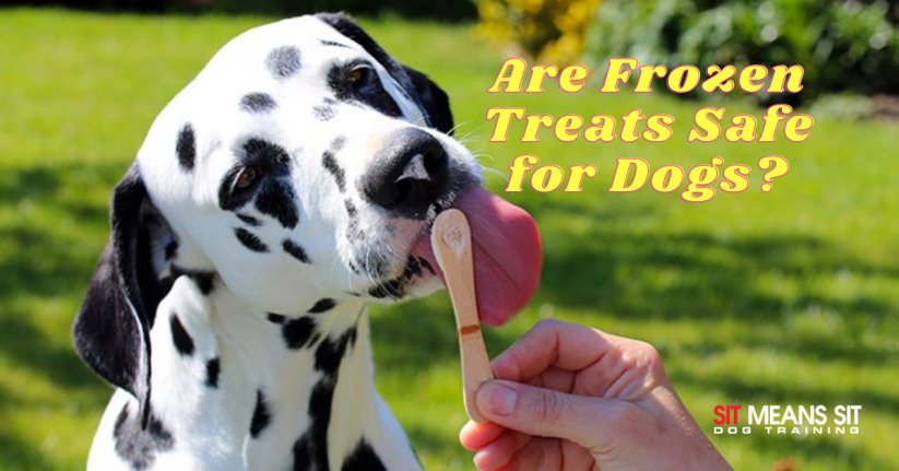 Are Frozen Treats Safe for Dogs?