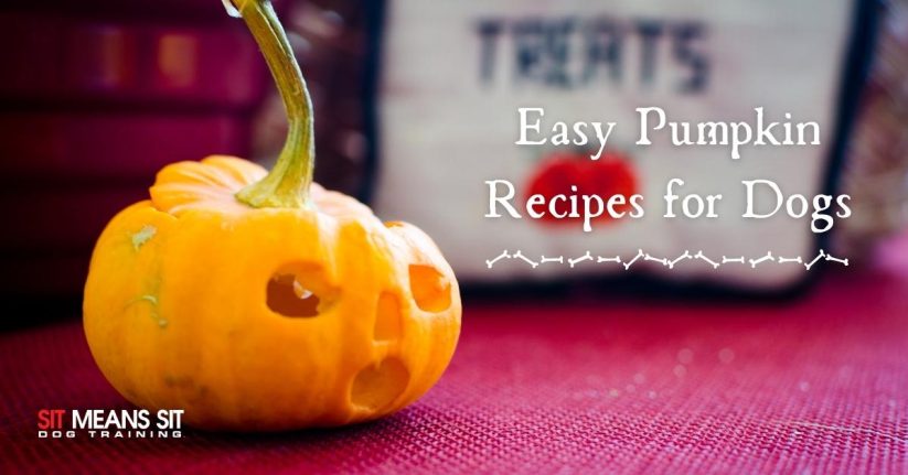 Easy Pumpkin Recipes for Dogs