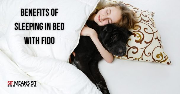 lady cuddling with her dog