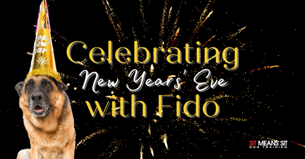 celebrating new years ever with fido poster with a picture of a dog howling wearing a celebration hat