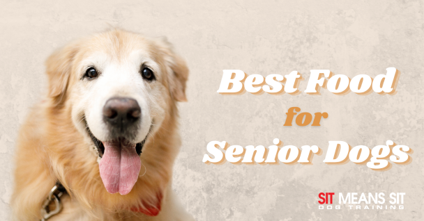 best foo for senior dogs poster with a picture of a dog happily panting while sitting down