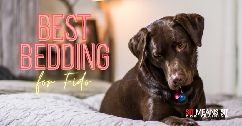 A brown dog rests on a bed, with text promoting the best bedding for pets.