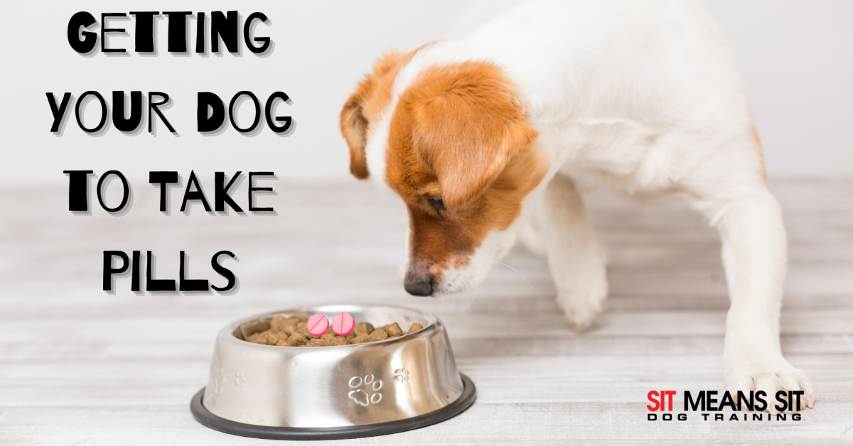 A dog sniffs a food bowl with pills, with the text "Getting your dog to take pills" above.
