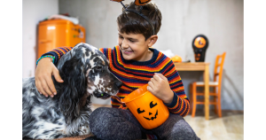 Homemade Halloween-Themed Dog Treats