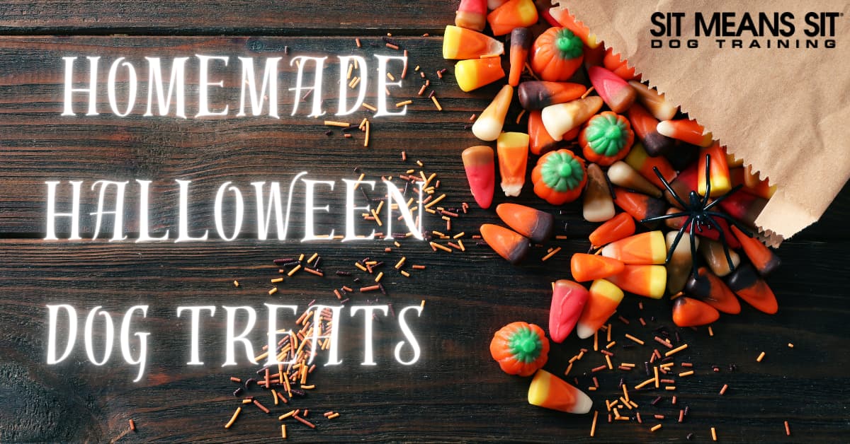 A selection of colorful Halloween-themed dog treats, with the text "Homemade Halloween Dog Treats" prominently displayed.