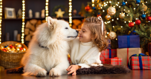 How to Include Your Canine in Your Holiday Plans