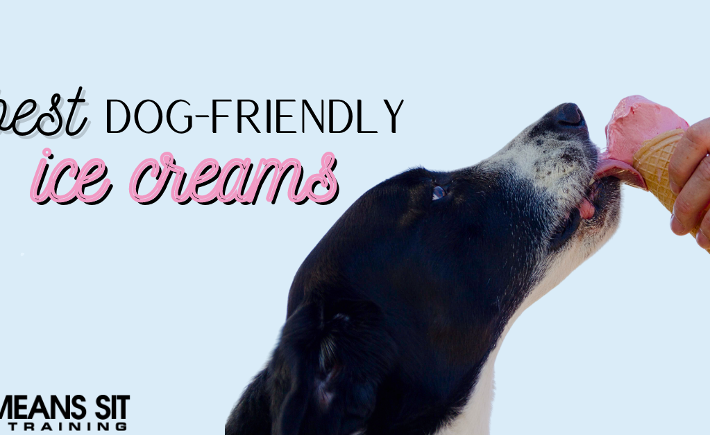A dog eagerly enjoying ice cream from a cone held by a person, with text about dog-friendly ice creams.