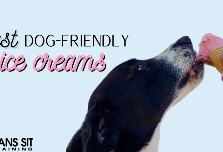 A dog eagerly enjoying ice cream from a cone held by a person, with text about dog-friendly ice creams.