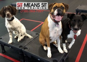 Jackson, Penny and Phlash