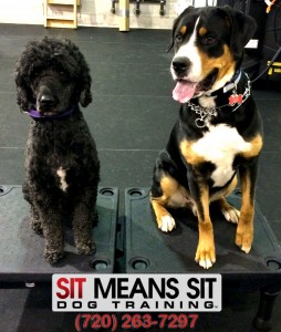 Tex & Jett