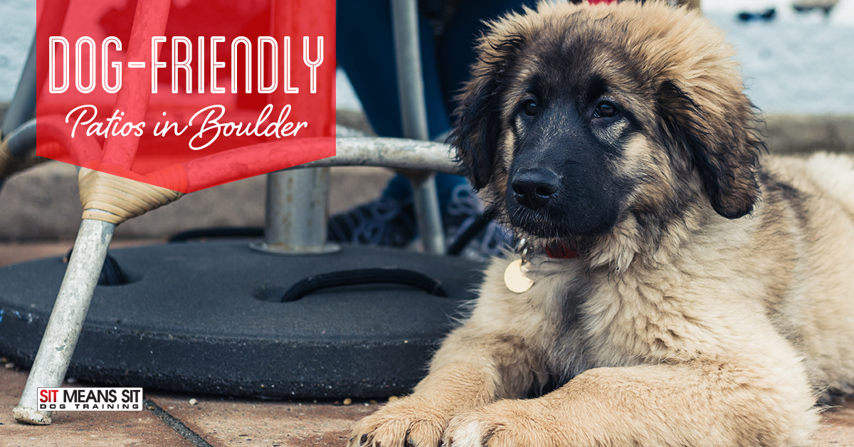 Dog friendly patios in Boulder.