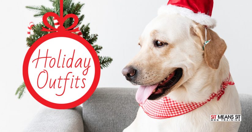 Holiday Outfits for Dogs
