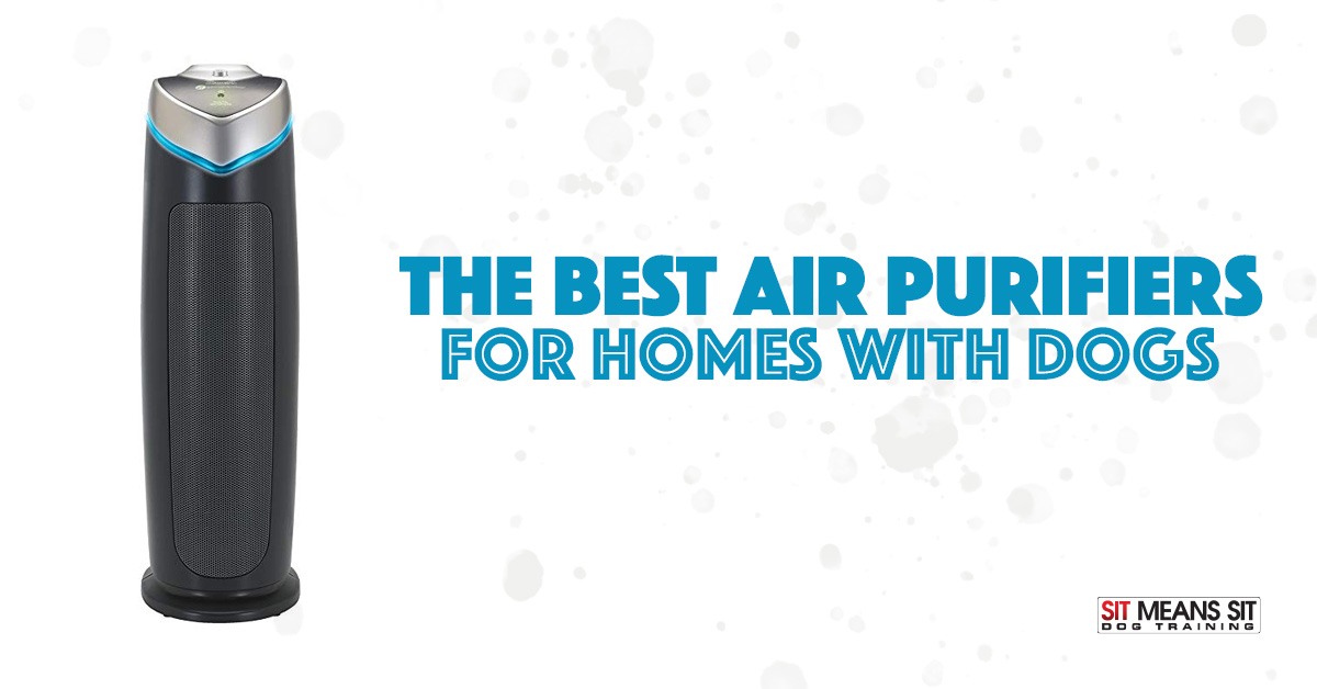 The Best Air Purifiers for Homes with Dogs