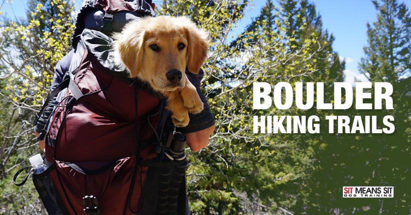 Boulder Dog-Friendly Hiking Trails