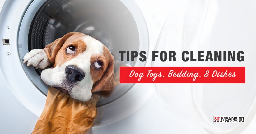 Tips for Cleaning Your Dogs Toys, Bedding, & Dishes
