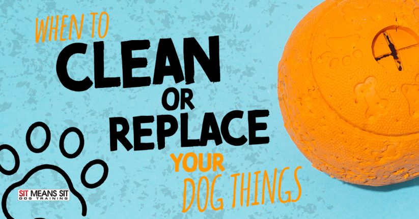 When to Clean or Replace Your Dogs Things