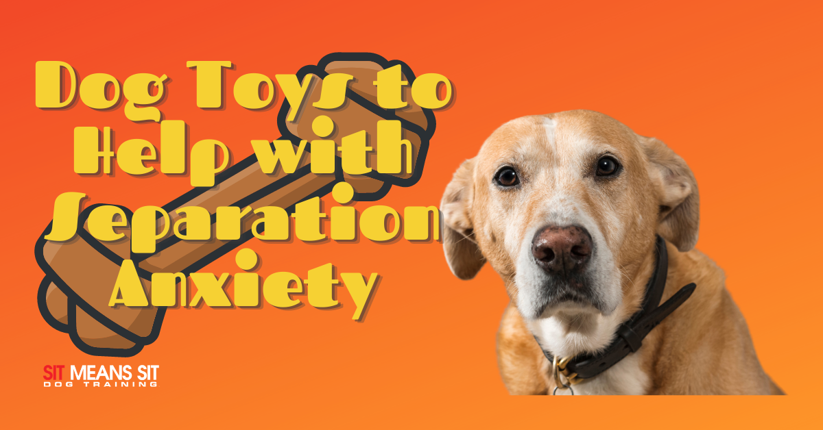Dog Toys to Help with Separation Anxiety