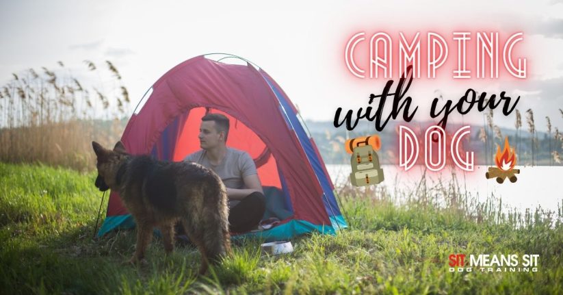 Tips for Camping with Your Dog in 2021