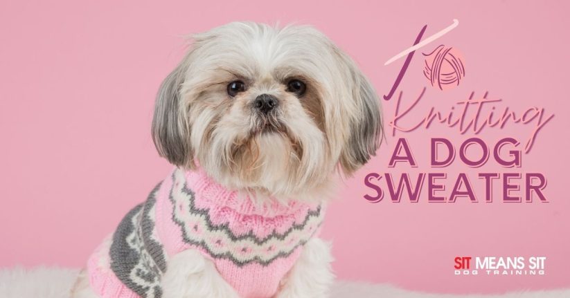Tips for Knitting a Dog Sweater