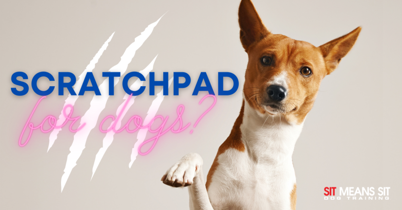 Scratchpads for dogs poster