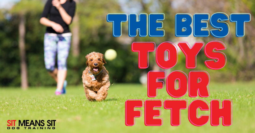 the best toys for fetch poster