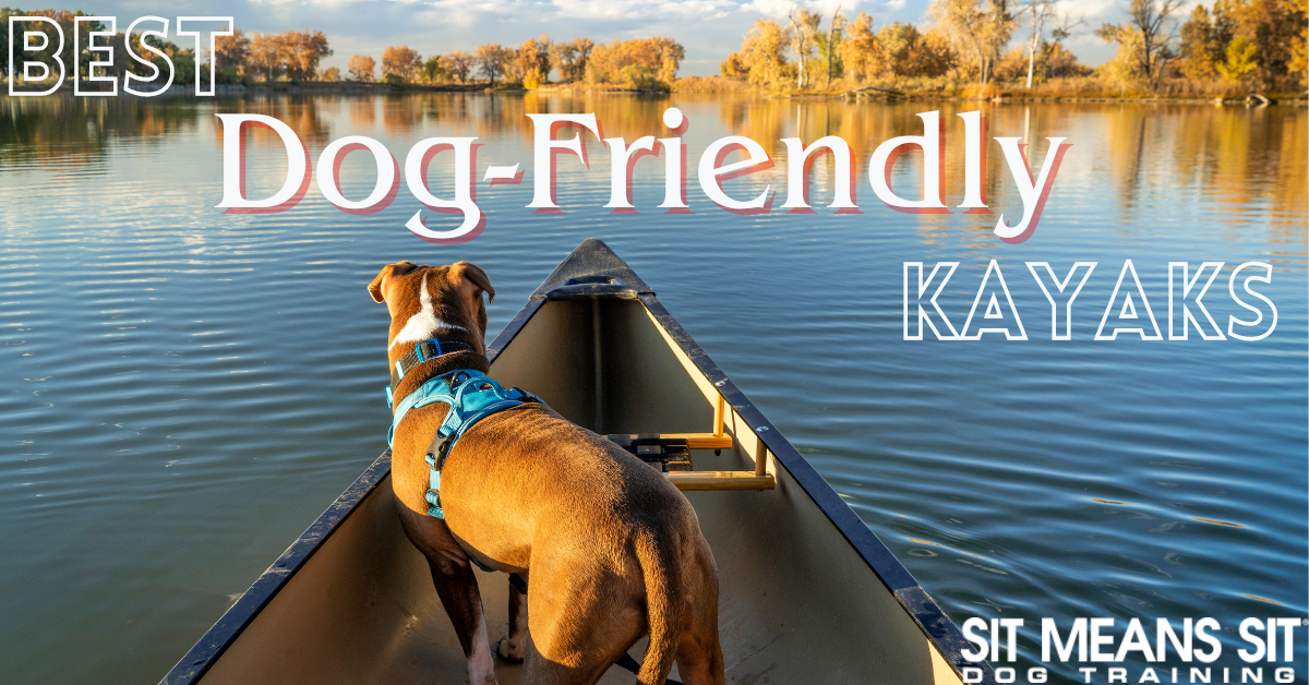 The Best Kayaks for Dog Owners