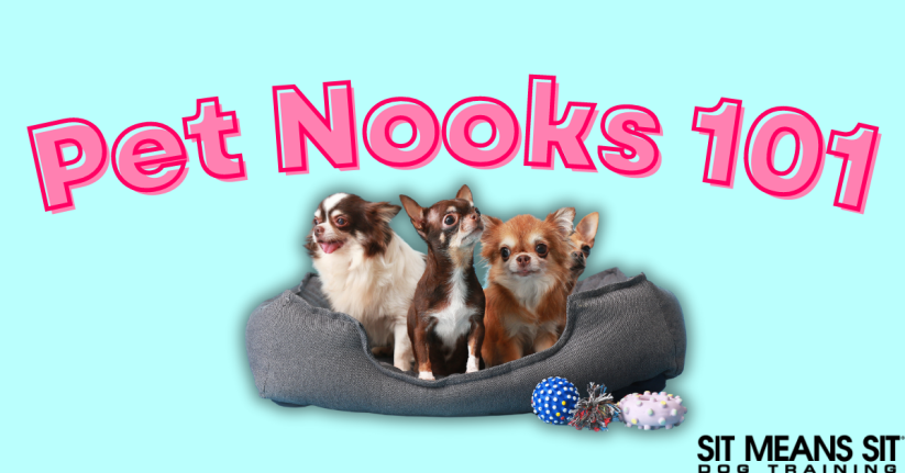Creating a Pet Nook for Fido: A Full Guide