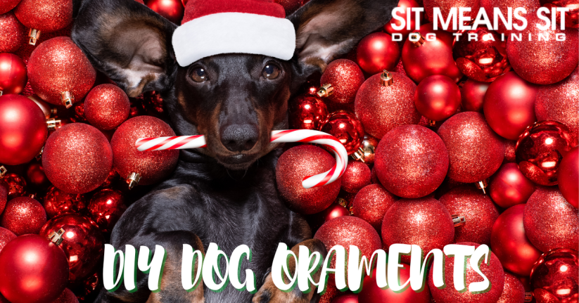DIY Holiday Dog Ornaments